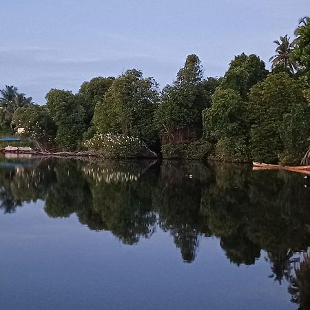 Villa River View アボッターバード エクステリア 写真