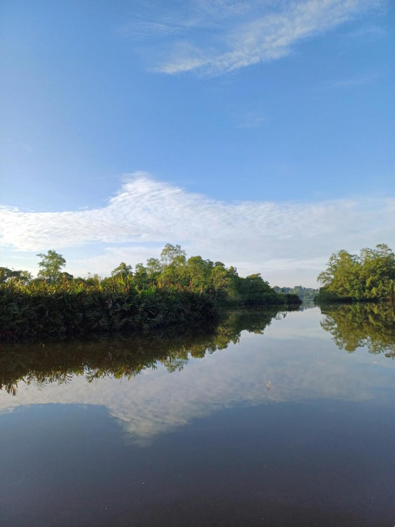 Villa River View アボッターバード エクステリア 写真